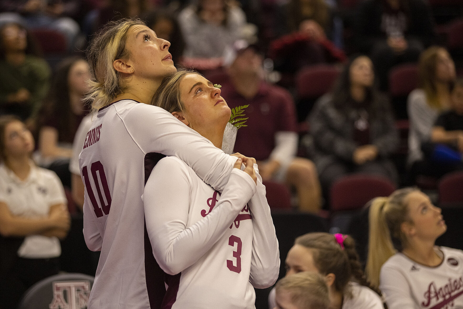 Aggie volleyball